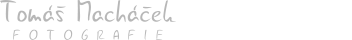 Primary Raster logo